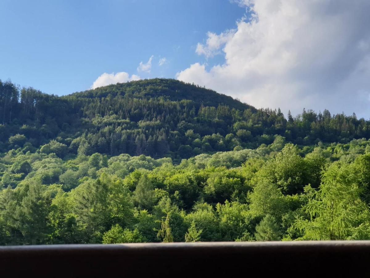 Apartmany Ema A Peter Terchova Bagian luar foto